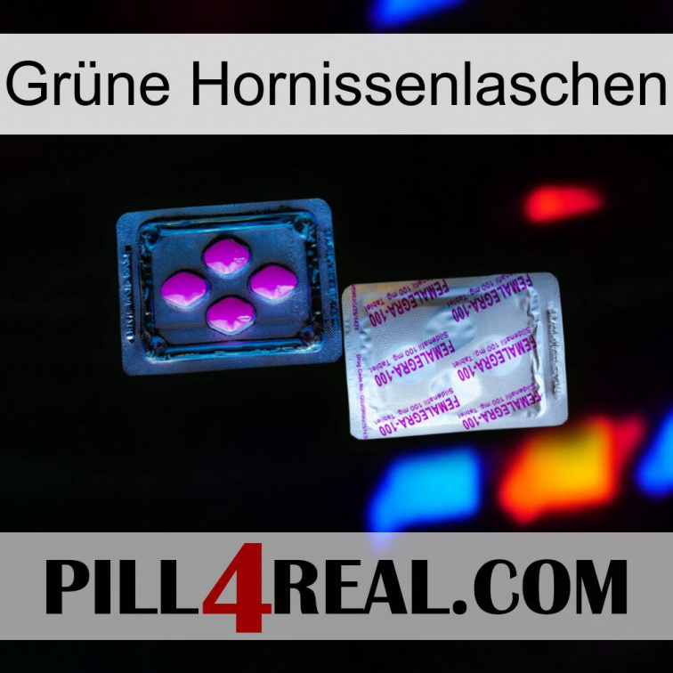 Grüne Hornissenlaschen 37